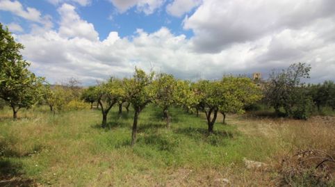 Finca en venta en Tabernas CON CORTIJO, imatge 5