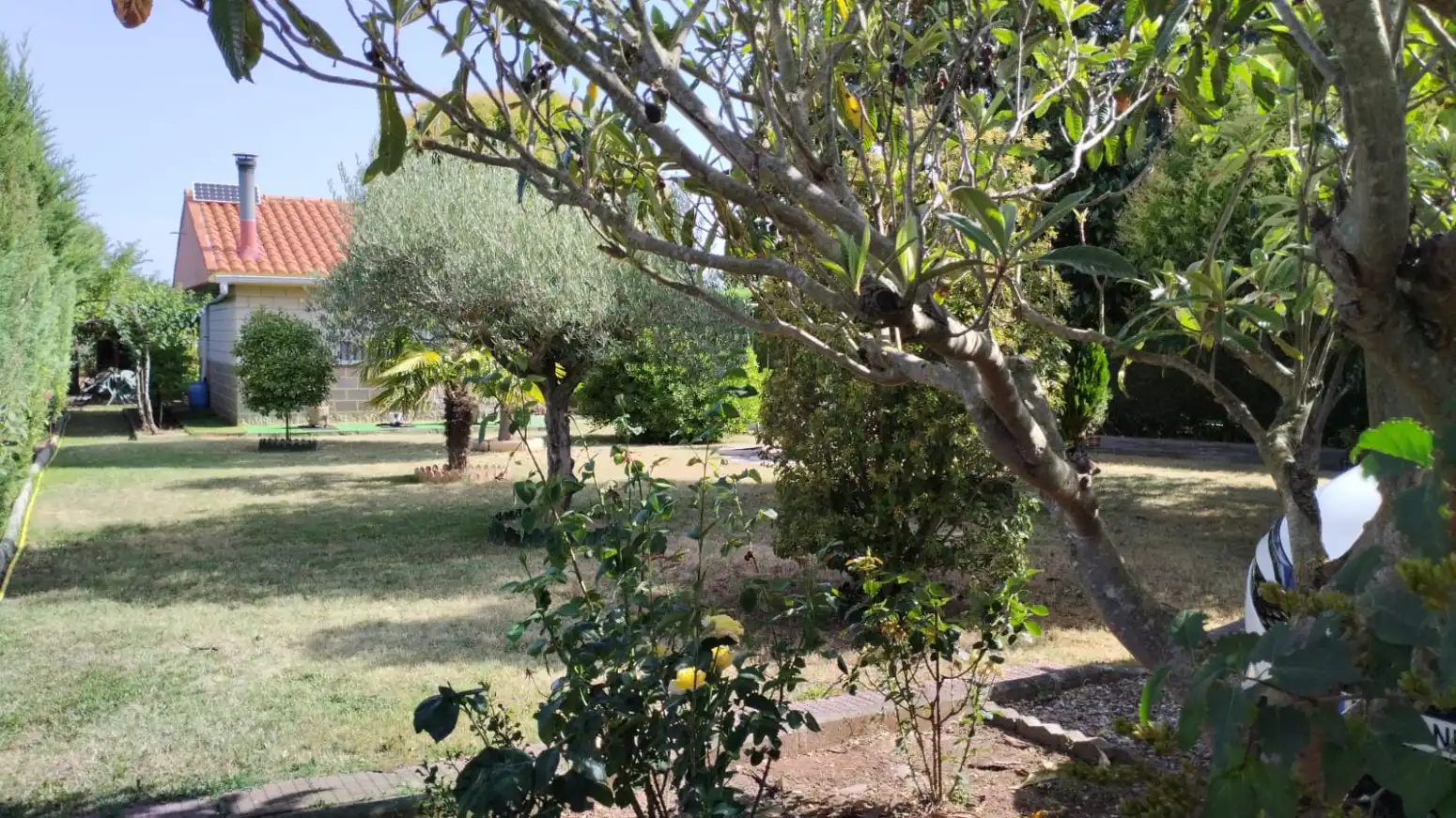Garten von Grundstücke zum Verkauf in Entrena