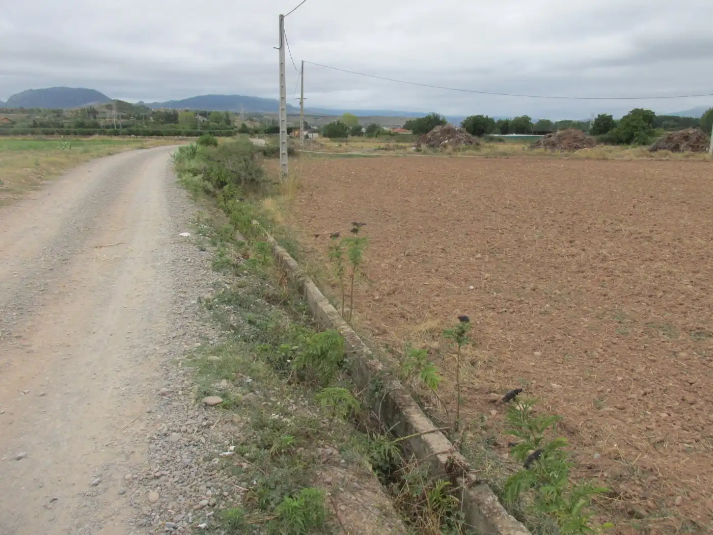 Rural land for sale in Camino Polígono 12