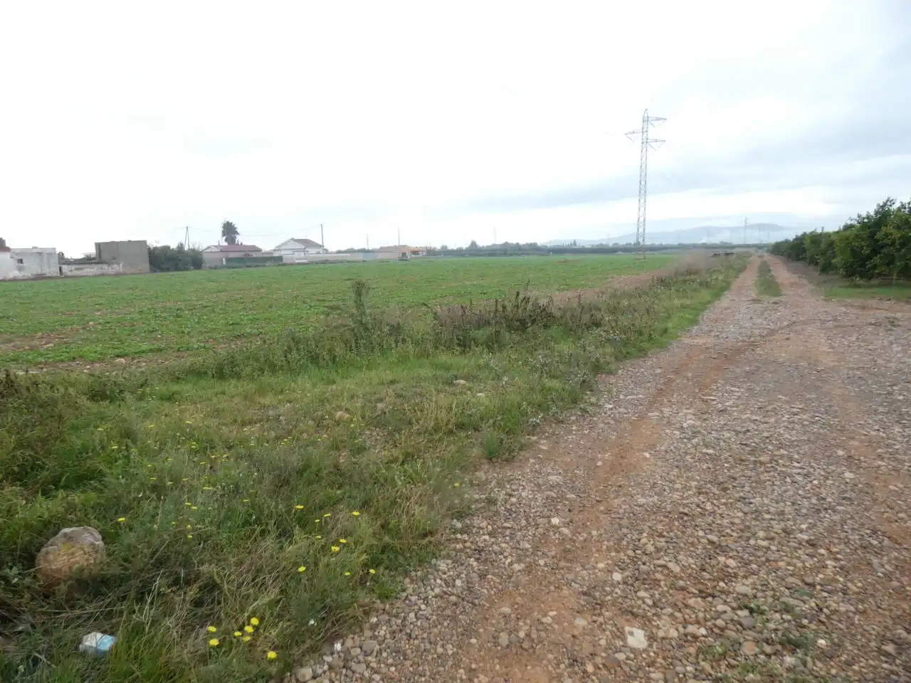 Rural land for sale in Calle CAMINO FOSA PASTOR  POL 18, imagen 3