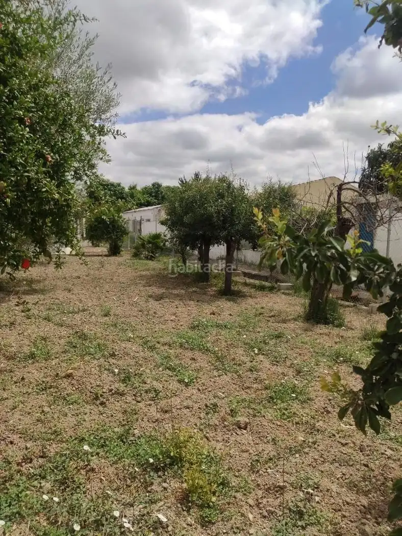 Maison à vendre à La Alcantarilla 20, imagen 2