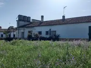 Terreni e lotti in vendita a Norte, imagen 30