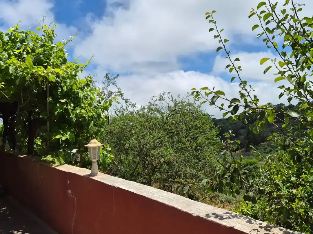 Planta baixa en venda en Moya (Las Palmas) amb Jardí privat, Parquet i Traster
