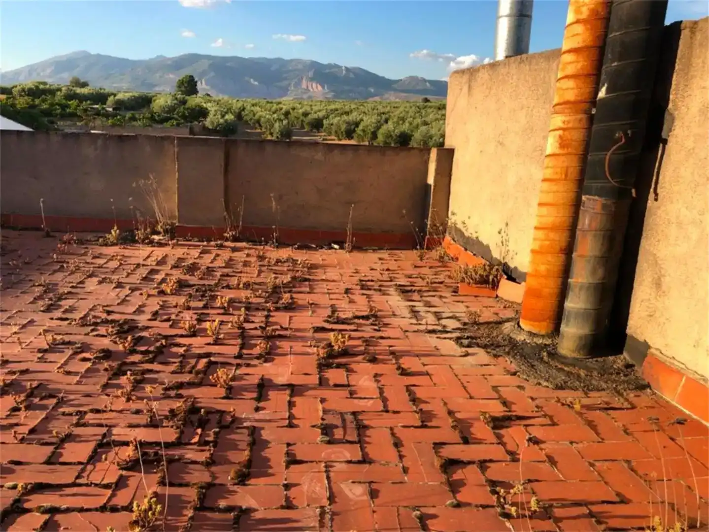 Terraza de Nave industrial en venta en Pozo Alcón