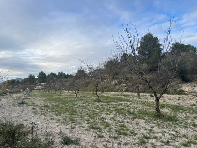 Terreno en Venta en Benimarfull