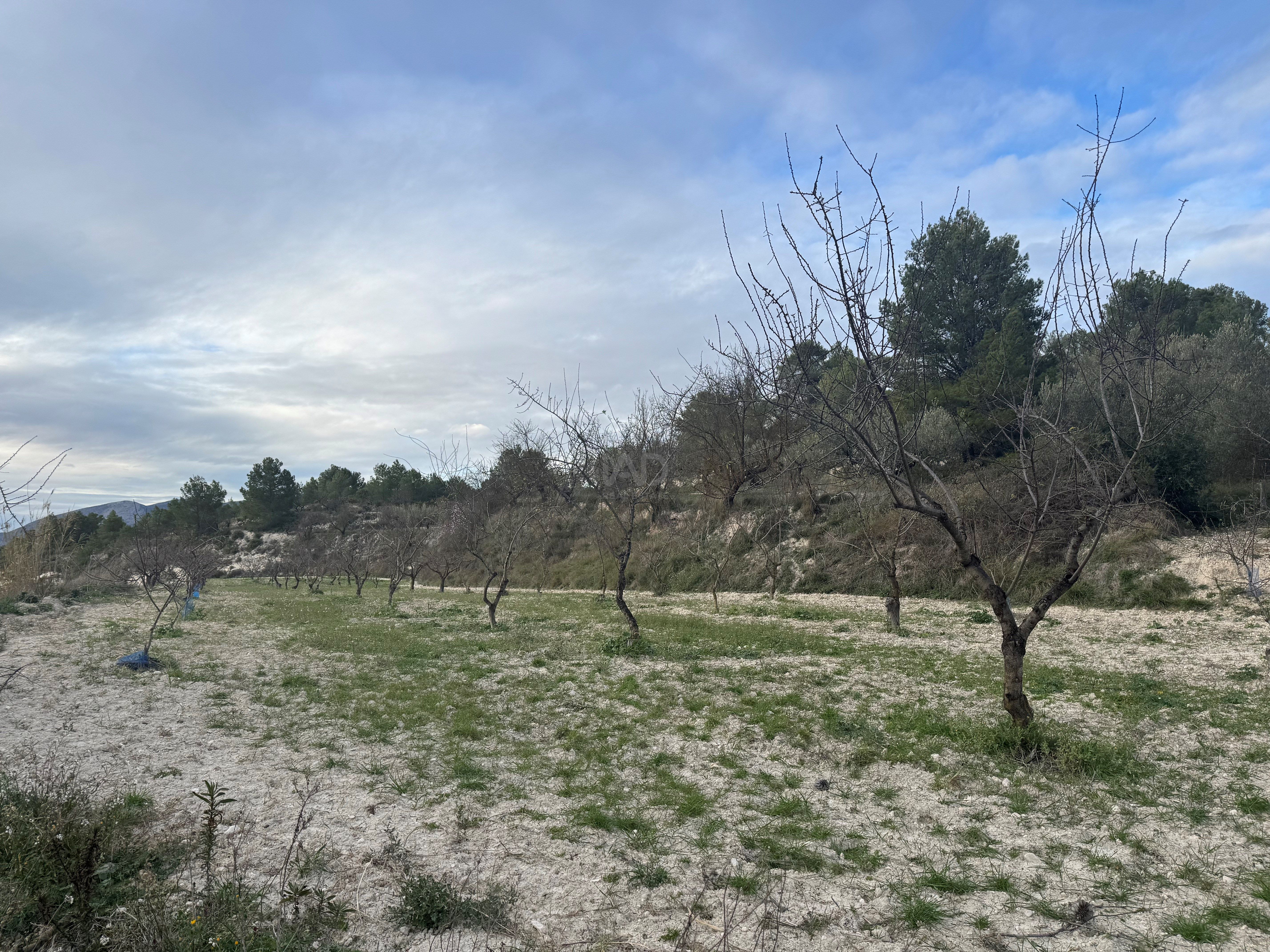 Terreno en venta en Benimarfull