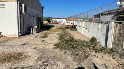 Foto 3 von Grundstücke zum Verkauf in Camí Vell de Rossell, 28, Polígono Carretera de Ulldecona, Vinaròs