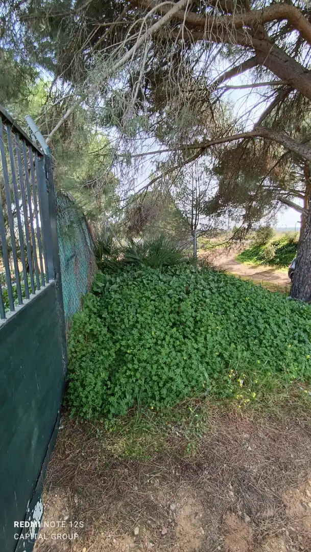 Terrenos y solares en venta en Gibraleón, imagen 28