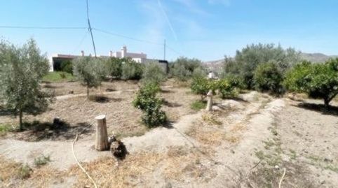 Photo 3 of Country homes for sale in Pechina, Almería