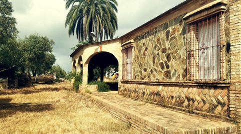 Foto 4 de Finca rústica en venda a La Palma del Condado, Huelva