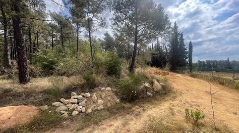 Foto 3 de Terreno en venta en Càmping Caravaning Internacional Costa Brava, 184, Mas Mora - Sant Daniel, Barcelona