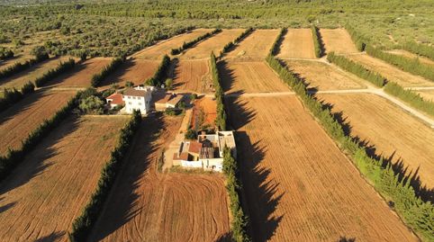 Gran Finca de cultivo de regadío de 23 Has con 3 viviendas y 2 almacenes, entre otras, imatge 4
