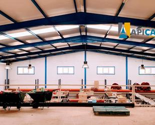 Industrial buildings for sale in Barbate ciudad