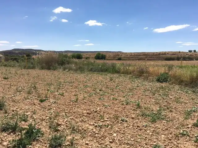Rural land for sale in Calle del Pozo del Concejo, imagen 2