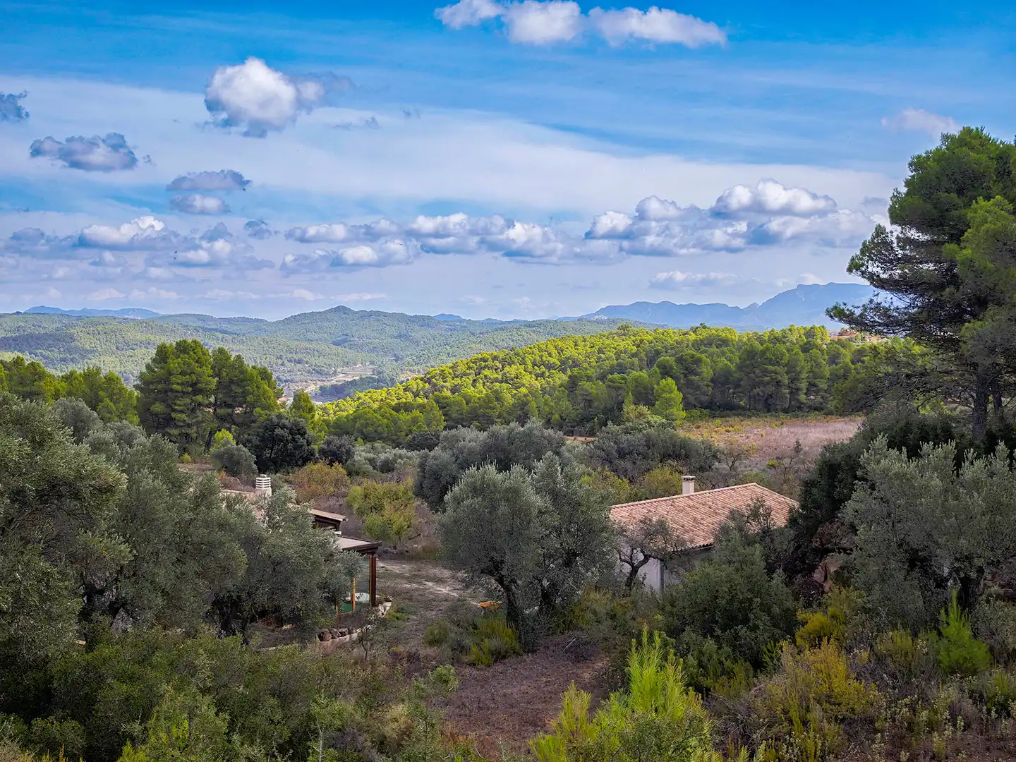 Rural land for sale in Arens de Lledó, imagen 28