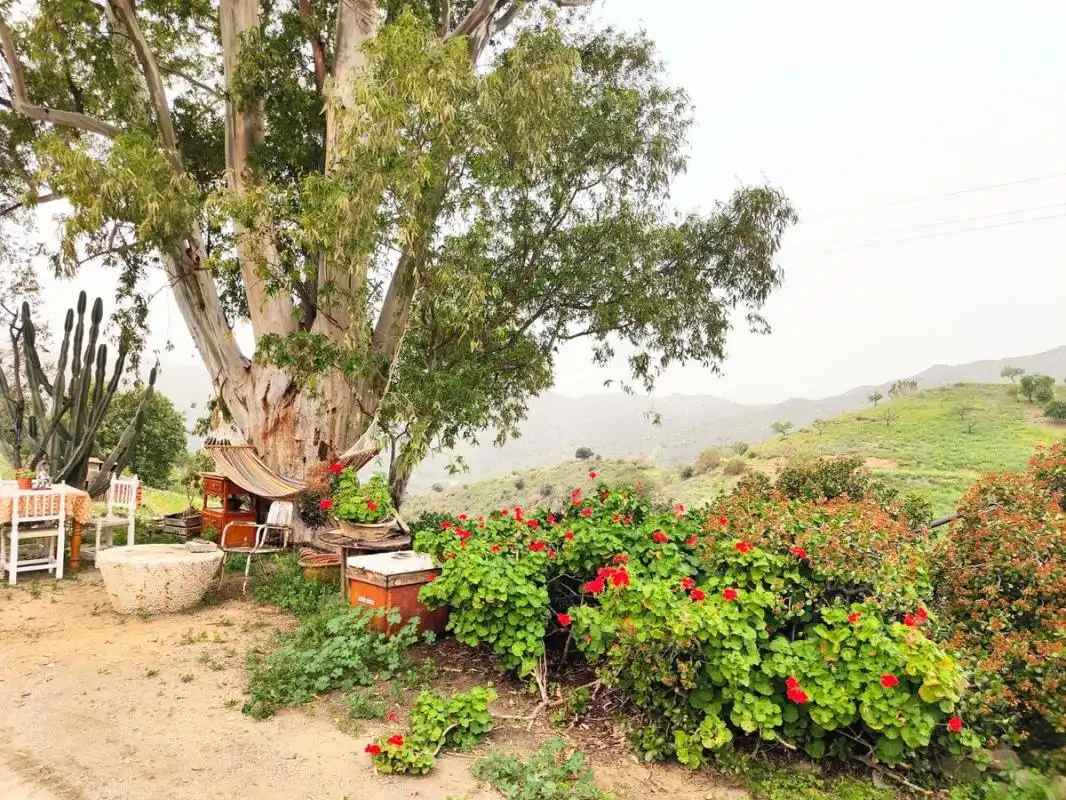 Terrenys i solars en venda a Diseminado R 38, imagen 4