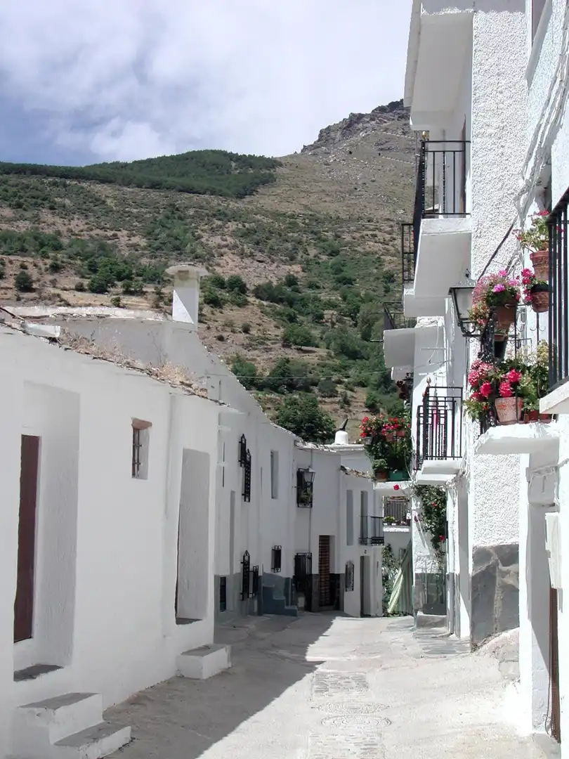Vista exterior de Casa adosada en venta en Trevélez con Terraza