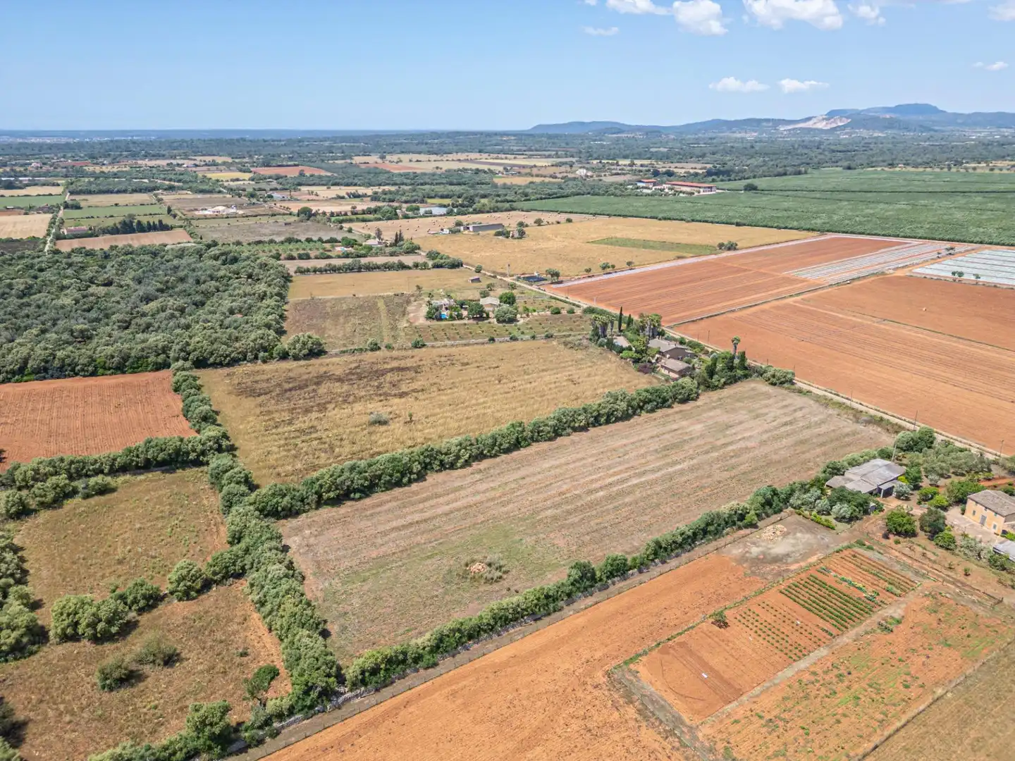 Rural land for sale in Felanitx Poble, imagen 14