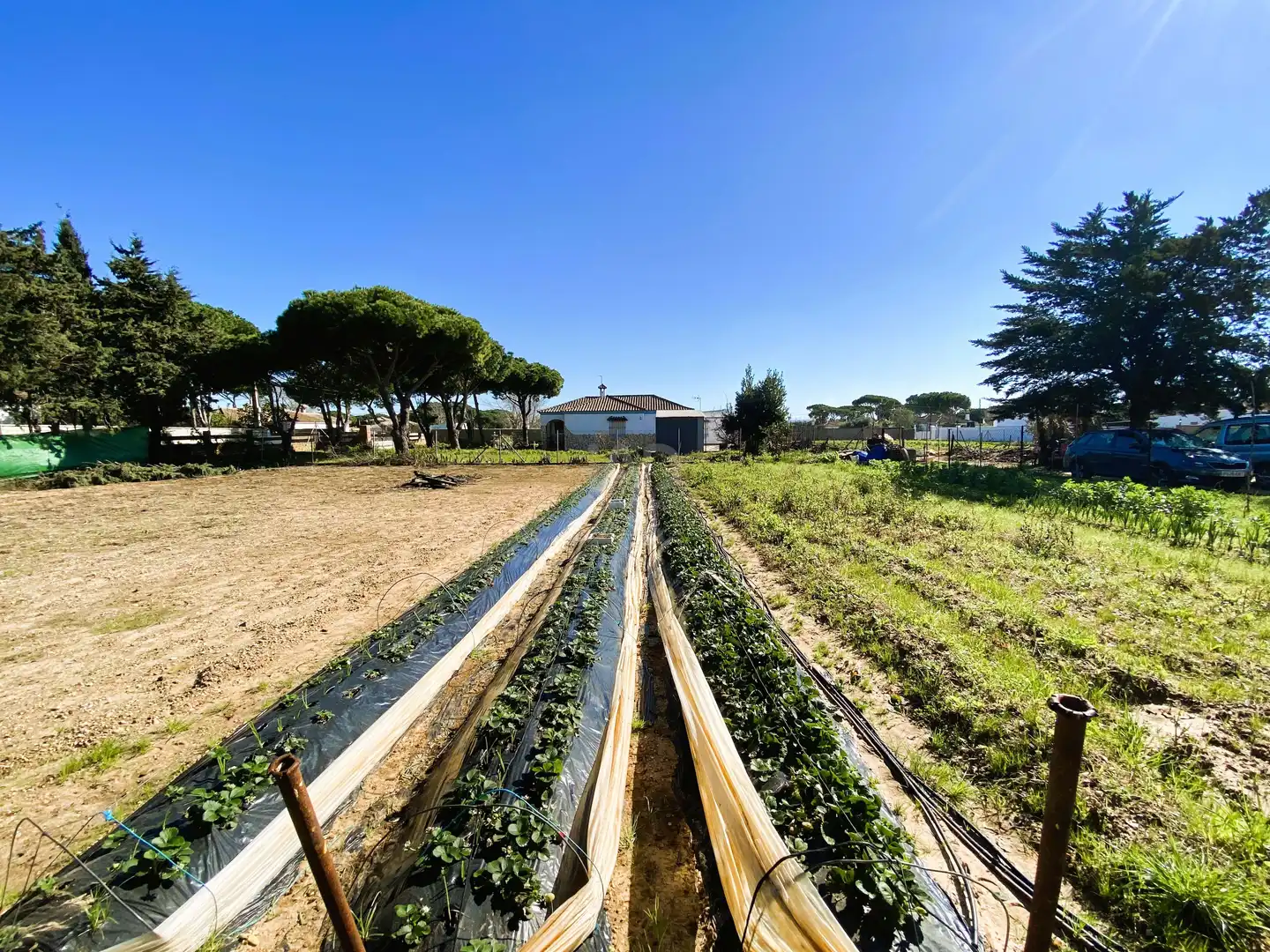 Casa o xalet en venda en Chiclana de la Frontera amb Aire condicionat