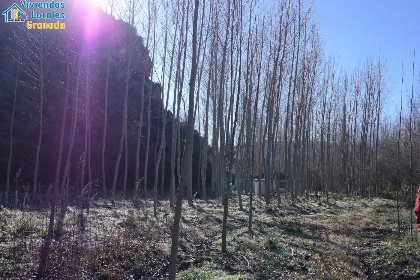 Terreni e lotti in vendita a Alhama de Granada, imagen 16