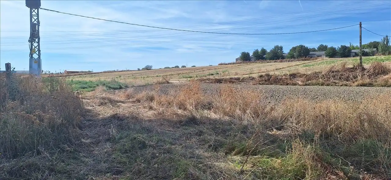 Terreny rústic en venda a Calle EL TEJAR, imagen 3