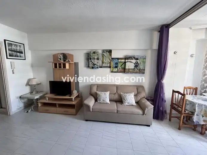 Studio mit Aufzug zur Miete in Avenida Familia de Betancourt y Molina 14, imagen 5
