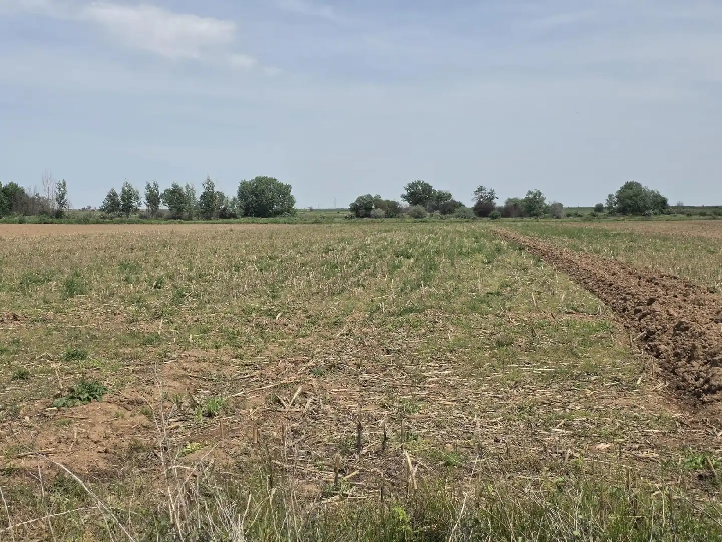 Land for sale in Villazala