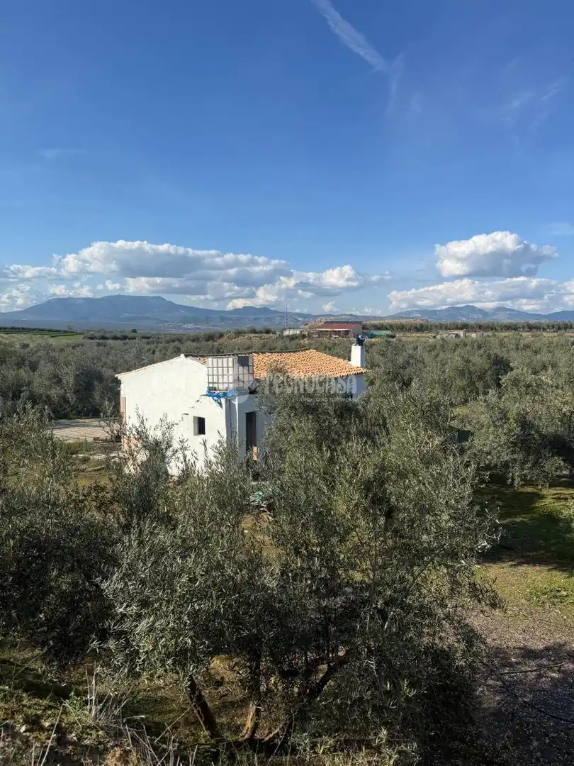 Finca rústica en venta en Chauchina