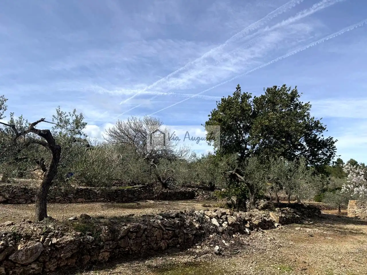 Finca rústica en venda en El Perelló