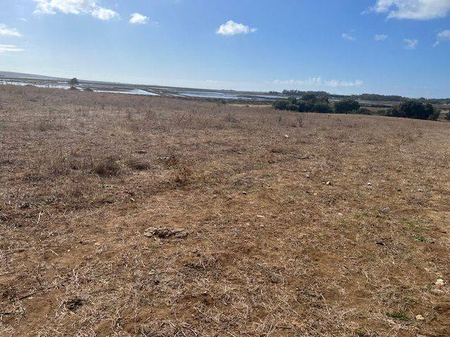 Finca rústica en Venta en Barbate ciudad