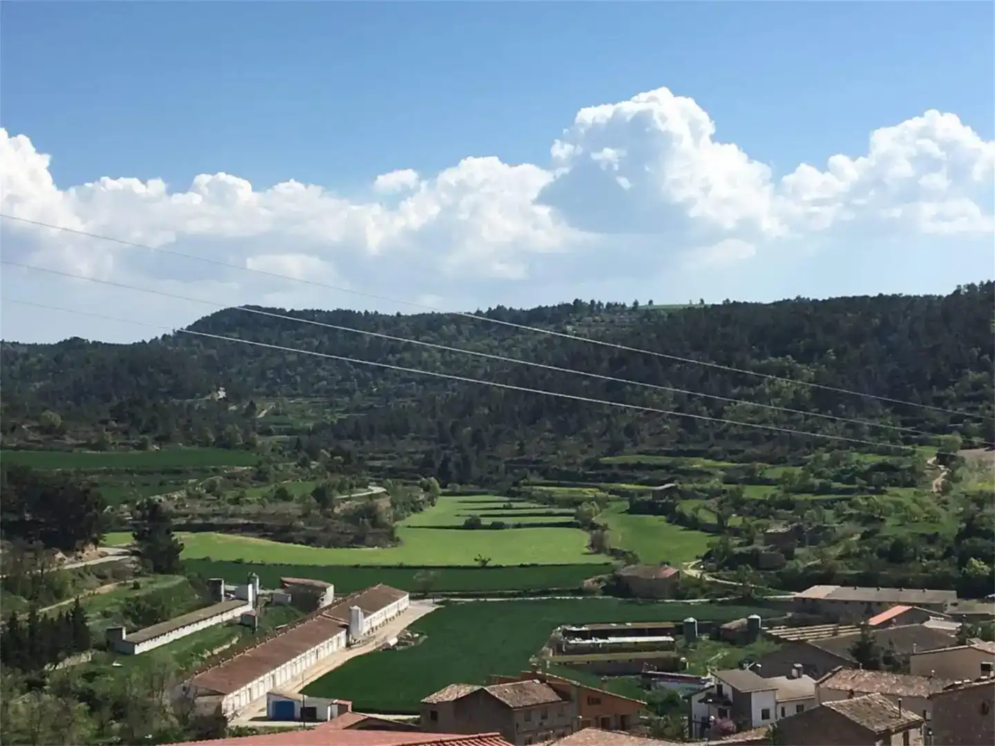 Nau industrial en venda en Els Omells de na Gaia