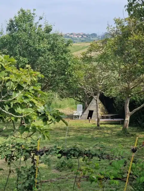 Garden of Land for sale in San Vicente de la Barquera