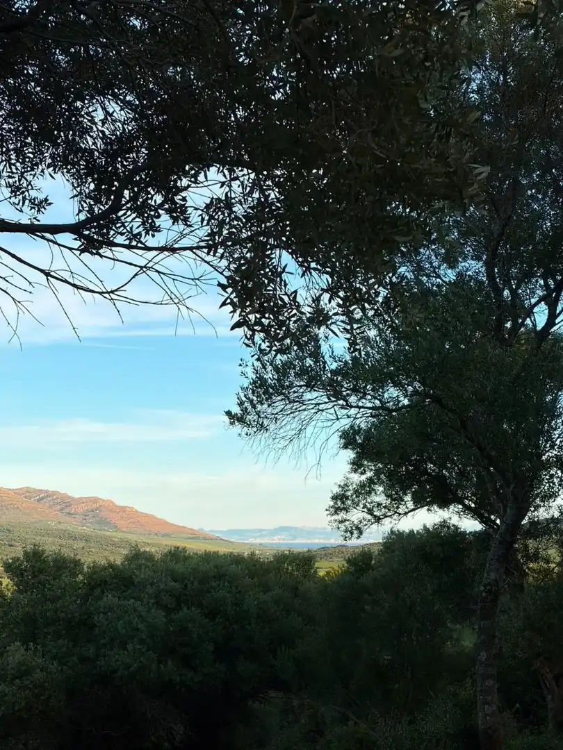 Vista exterior de Finca rústica en venta en Tarifa