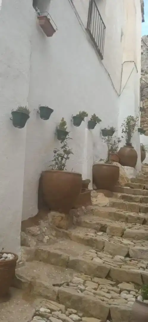 Jardín de Finca rústica en venta en Castellote, Teruel