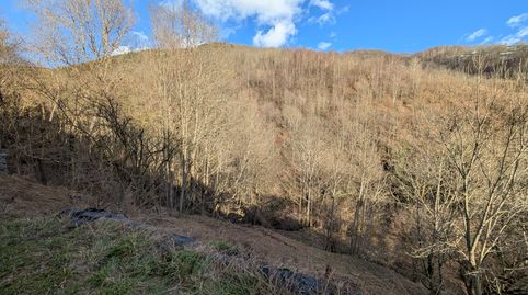 Foto 3 de Finca rústica en venta en Molló, Girona
