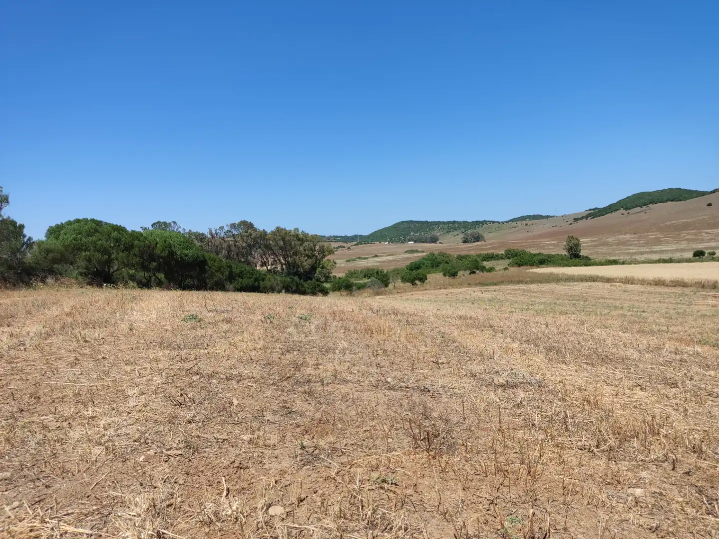 Country homes for rent in Medina Sidonia