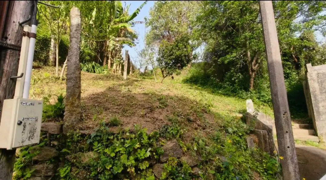 Terreno rústico en venta en Camino RAIÑA-BEMBRIVE, imagen 8
