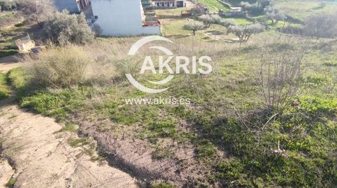 en Méntrida, immagine 4