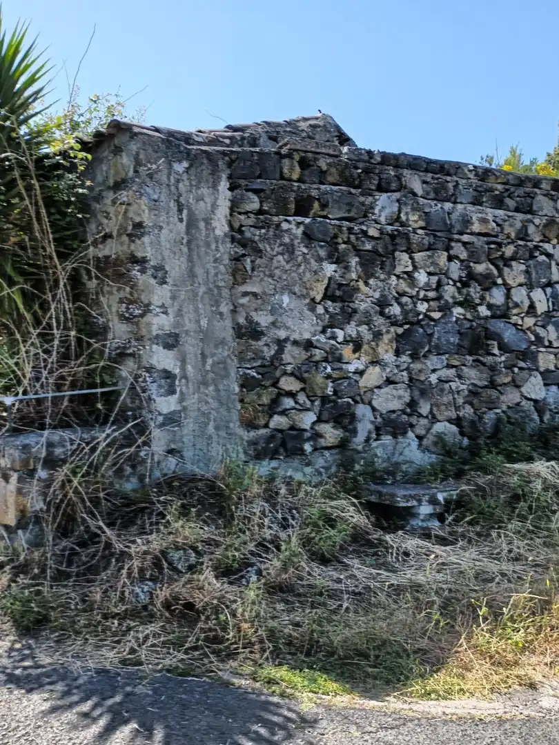 Vista exterior de Finca rústica en venta en Garachico