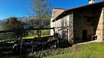 Vista exterior de Finca rústica en venda en Peñamellera Alta