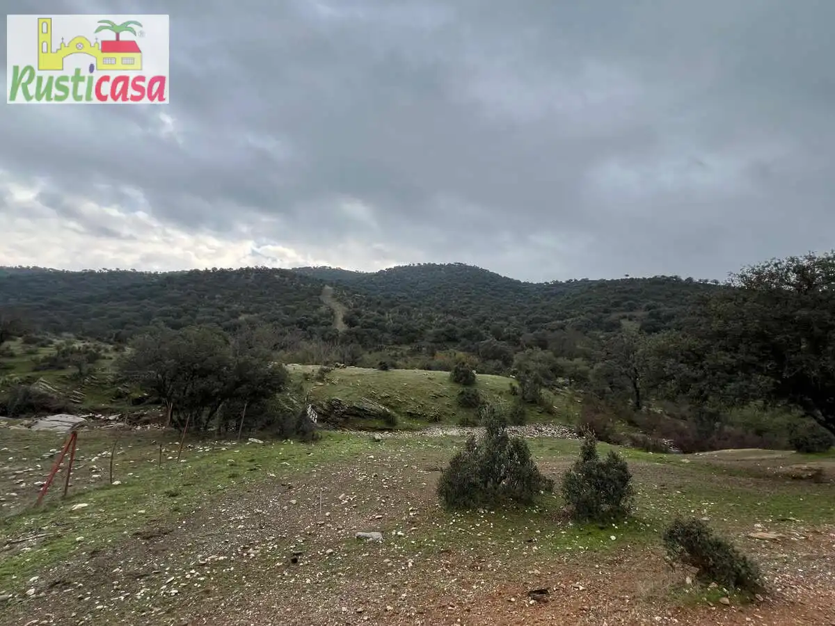 Terreni e lotti in vendita a Almadanejos, imagen 6