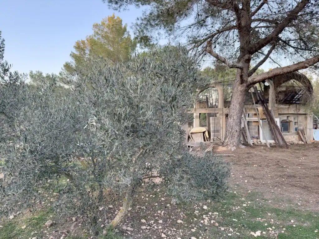 Garden of Houses for sale in Sant Josep de sa Talaia  with Private garden