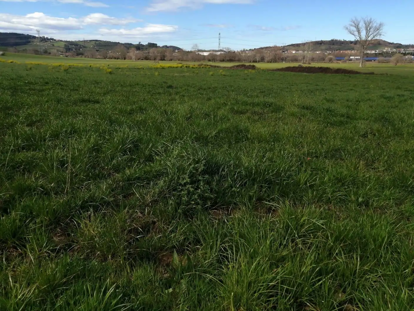 Grundstücke und Bauplätze zum Verkauf in Penagos, imagen 4