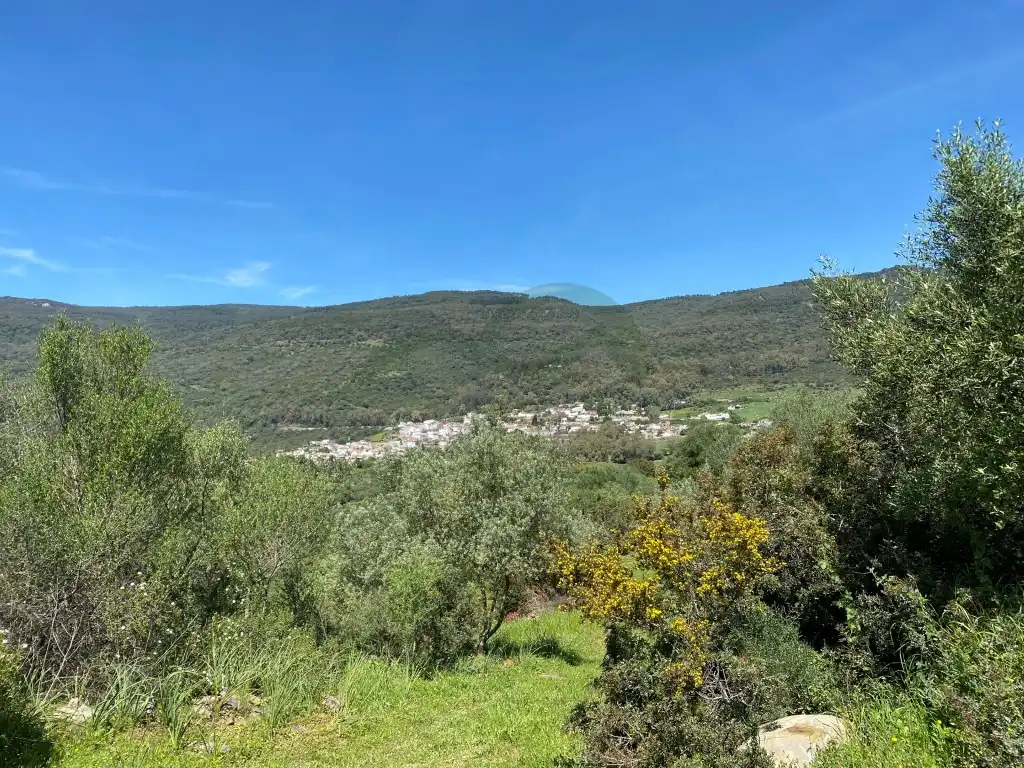 Casa rústica en venda a Gaucín, imagen 8