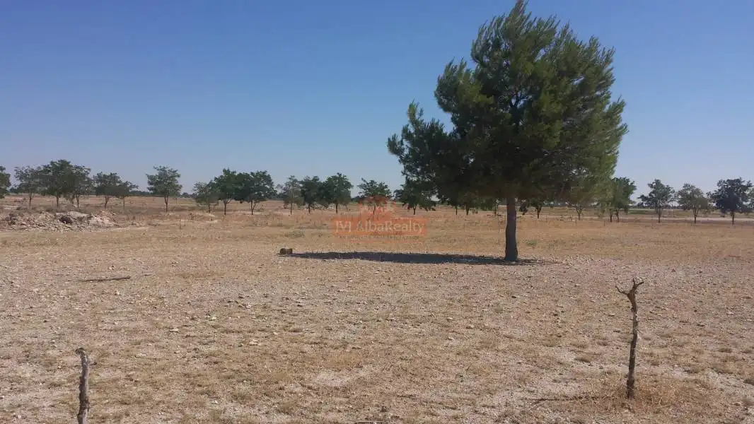 Terreno rustico in vendita a Pedanías - Extrarradio, imagen 2