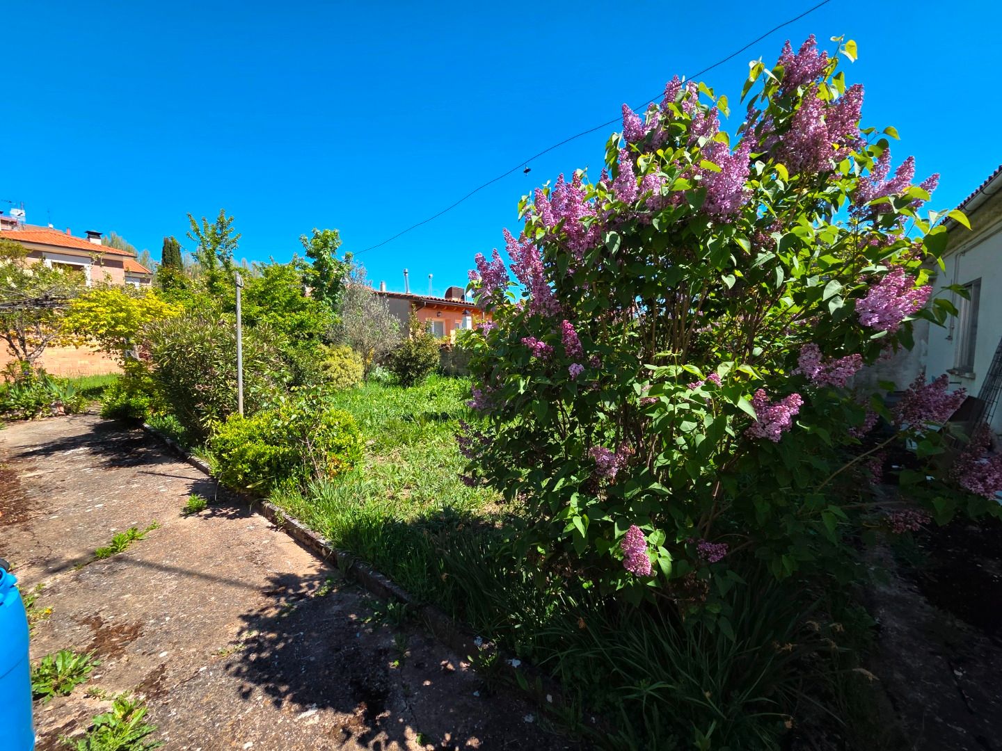 Garden of Single-family semi-detached for sale in Burgos Capital  with Private garden and Storage room