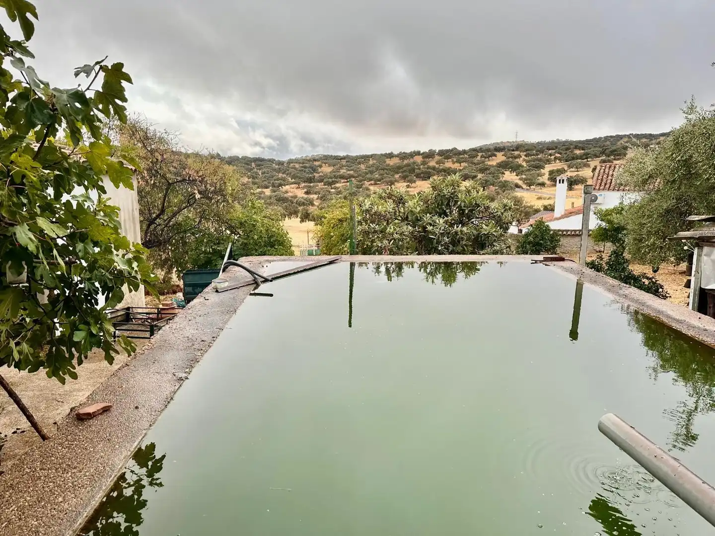 Casa con piscina en venta en Fuente Obejuna