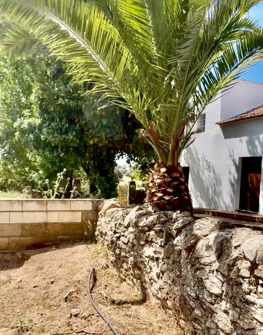 Jardín de Finca rústica en venta en Alanís