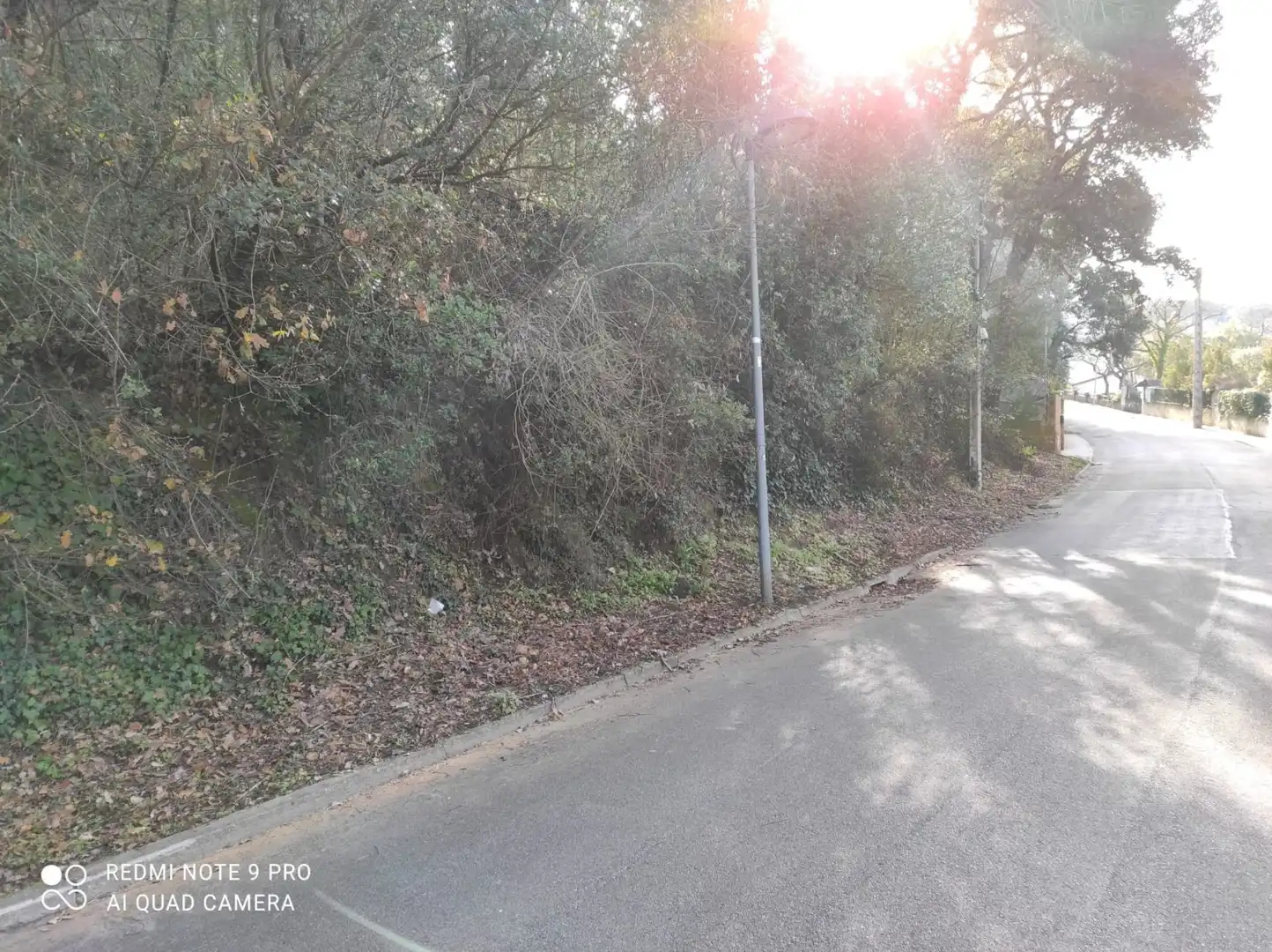 Terrenos y solares en venta en Vallgorguina, imagen 2