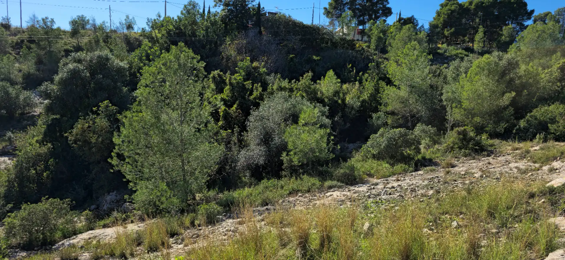 Wohnbaugrundstück zum Verkauf in Calle C/2 Lloma Molina 31, imagen 25
